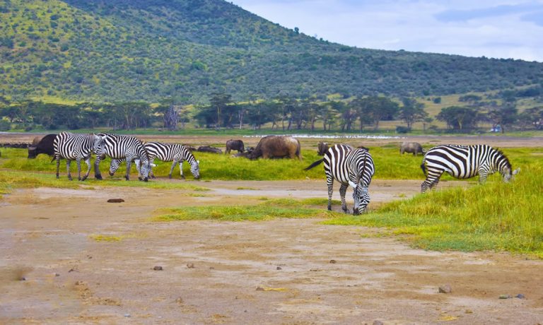 3 days tsavo east amboseli